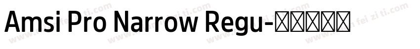 Amsi Pro Narrow Regu字体转换